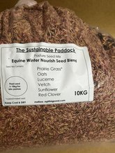 Equine Winter Nourish Pasture Seed Mix - The Sustainable Paddock