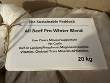 All Pro Beef Cattle Mineral Supplement Winter