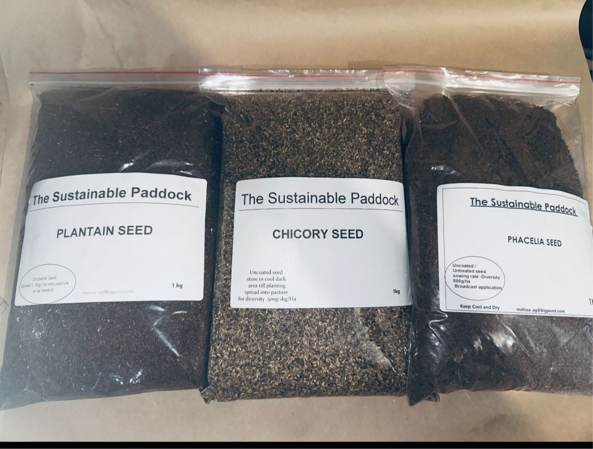 Herbie Trio Seed Tap Root Bundle (Chicory, Plantain, Phacelia) | The ...
