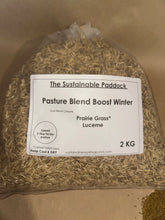 Pasture Blend Boost - winter