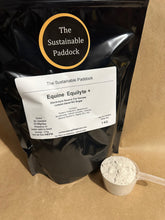 Equine Equilyte Electrolytes + (no sugar)