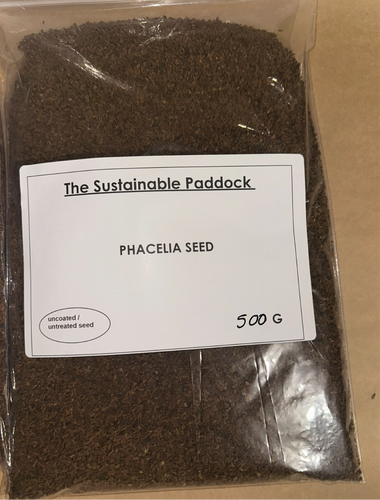 pasture seed paddocks brown uncoated bare seed root health soil health purple flower 