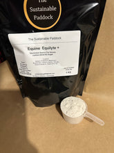 Equine Equilyte Electrolytes + (no sugar)