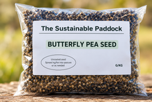 Butterfly Pea Seed - The Sustainable Paddock