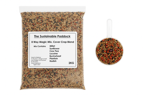 8 Way Magic Mix Cover Crop  Seed Blend Summer