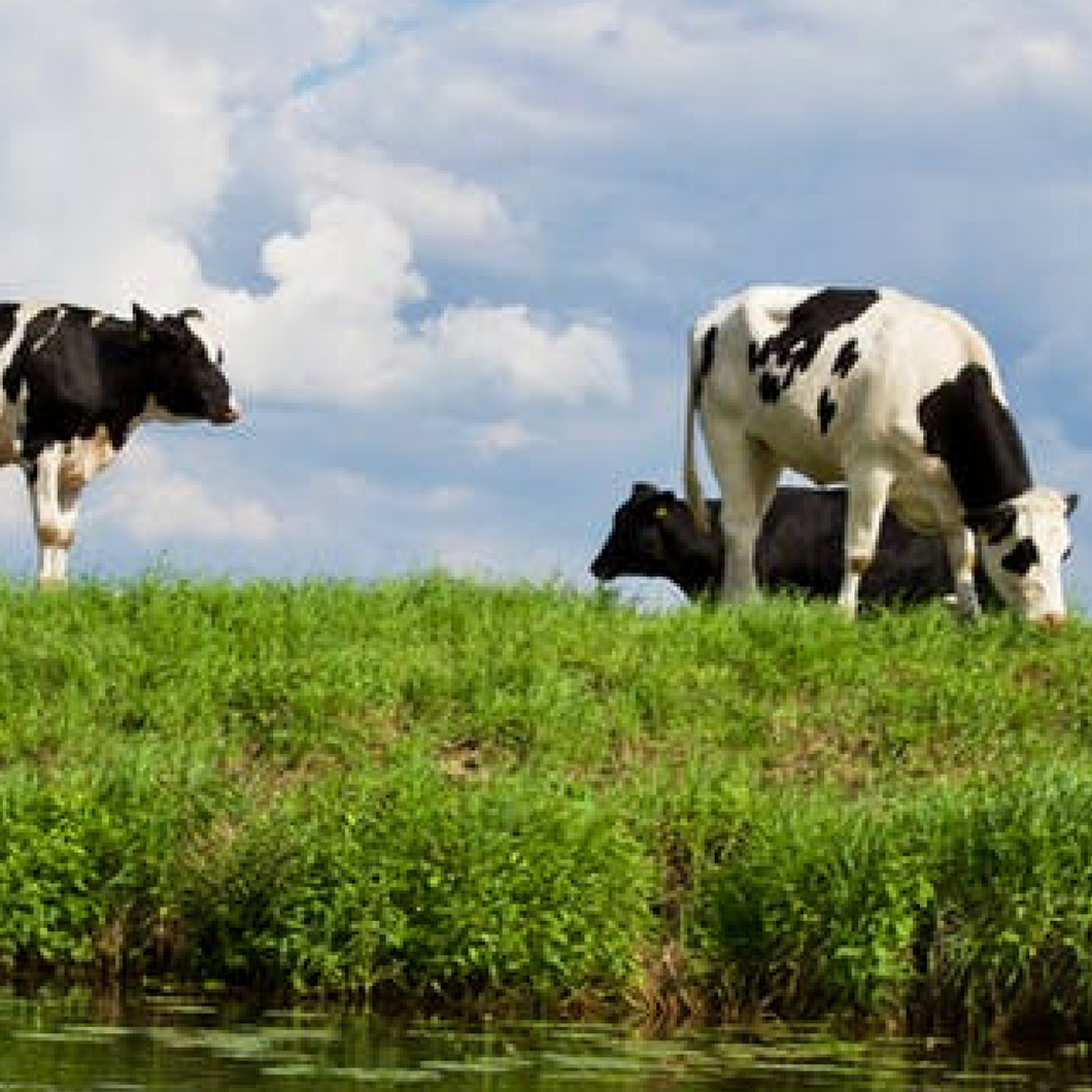 Natural Farm Pack - The Sustainable Paddock