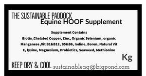 Equine HOOF Supplement