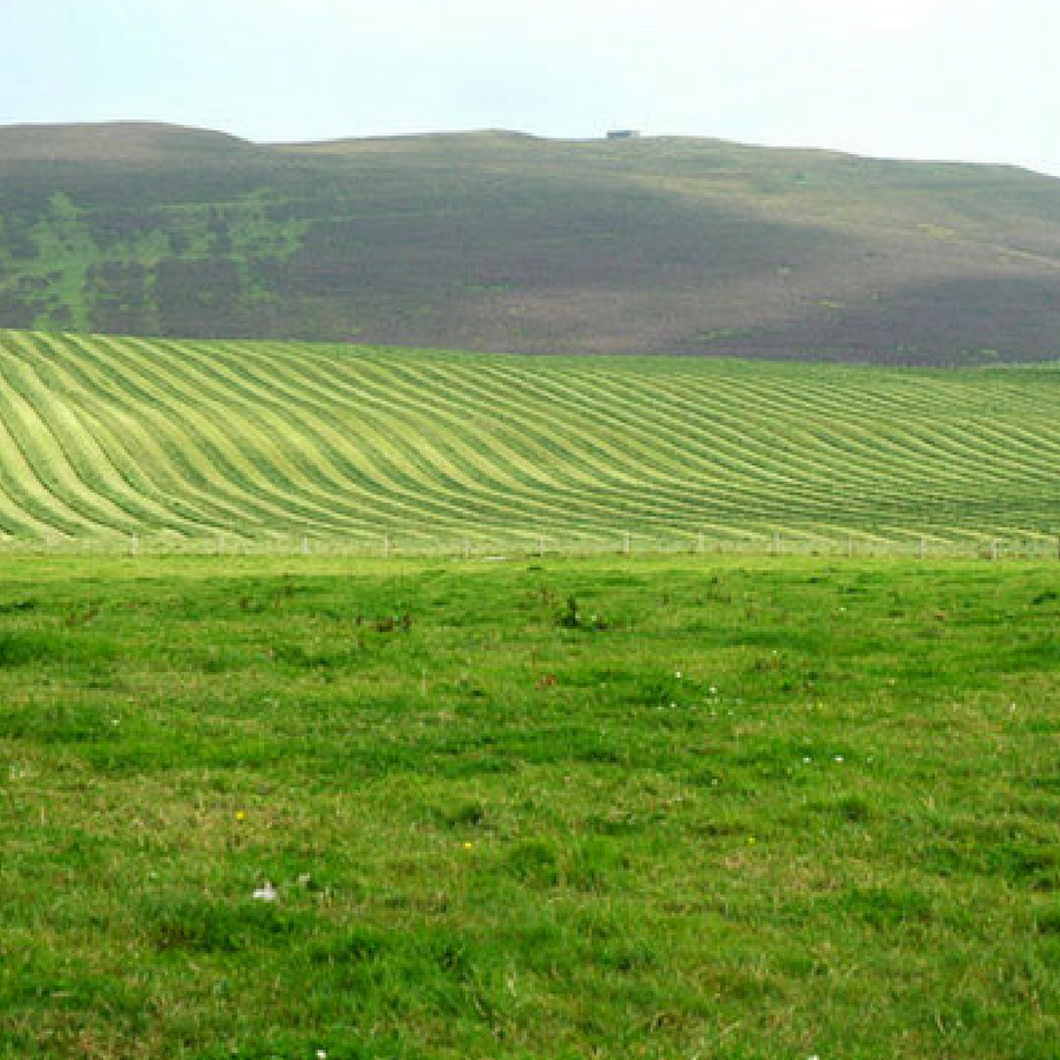 Bent-O-Lick - The Sustainable Paddock